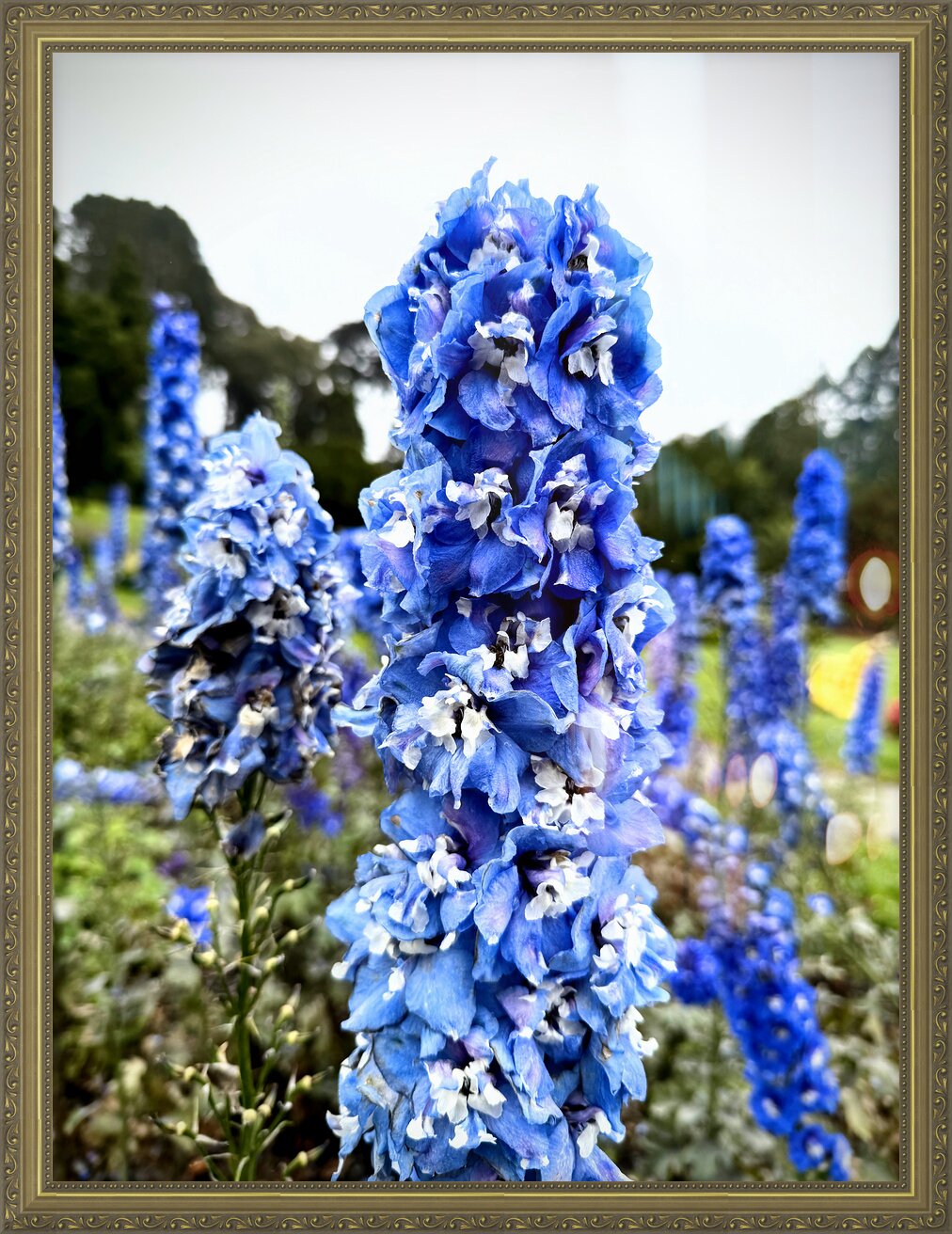 Impression de cadre personnalisé