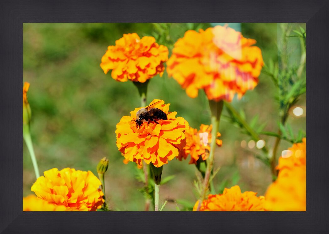 Impression de cadre personnalisé