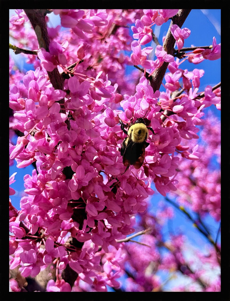 Impression de cadre personnalisé
