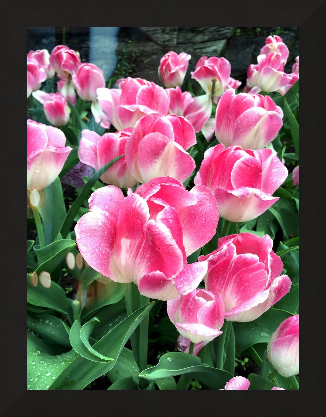 Impression de cadre personnalisé