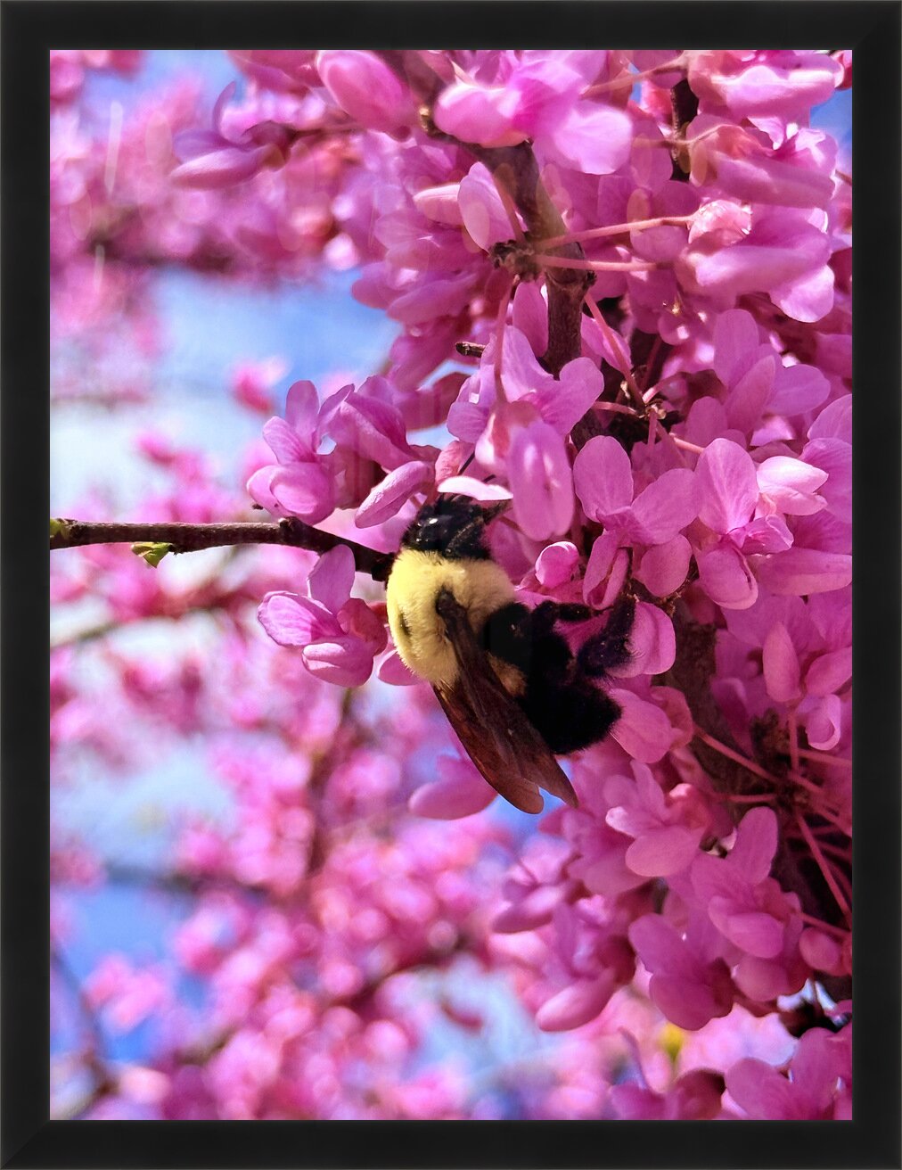 Impression de cadre personnalisé