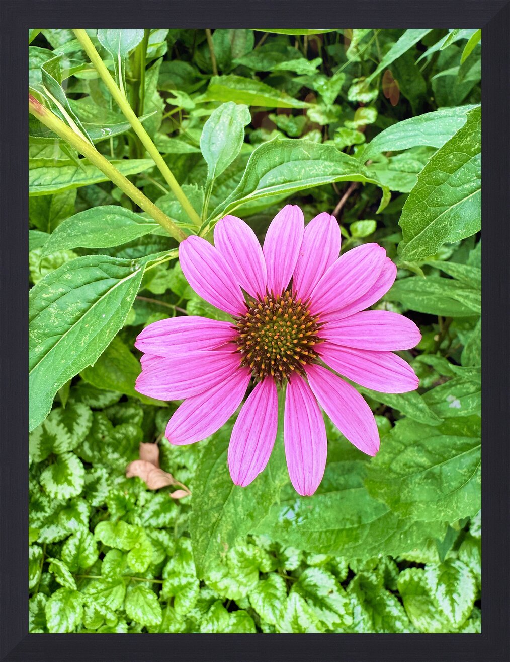 Impression de cadre personnalisé