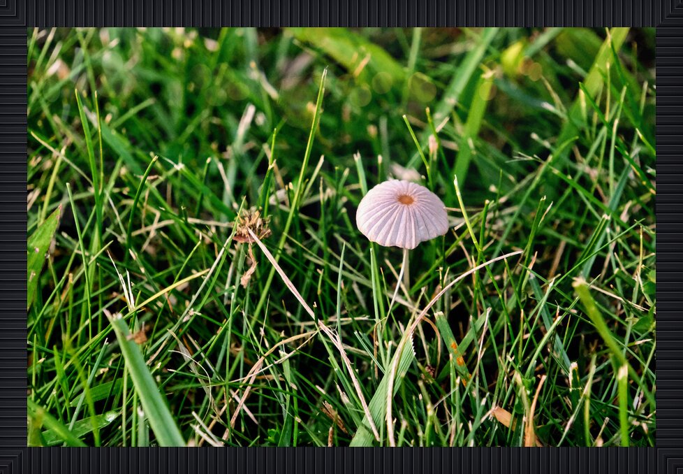 Impression de cadre personnalisé