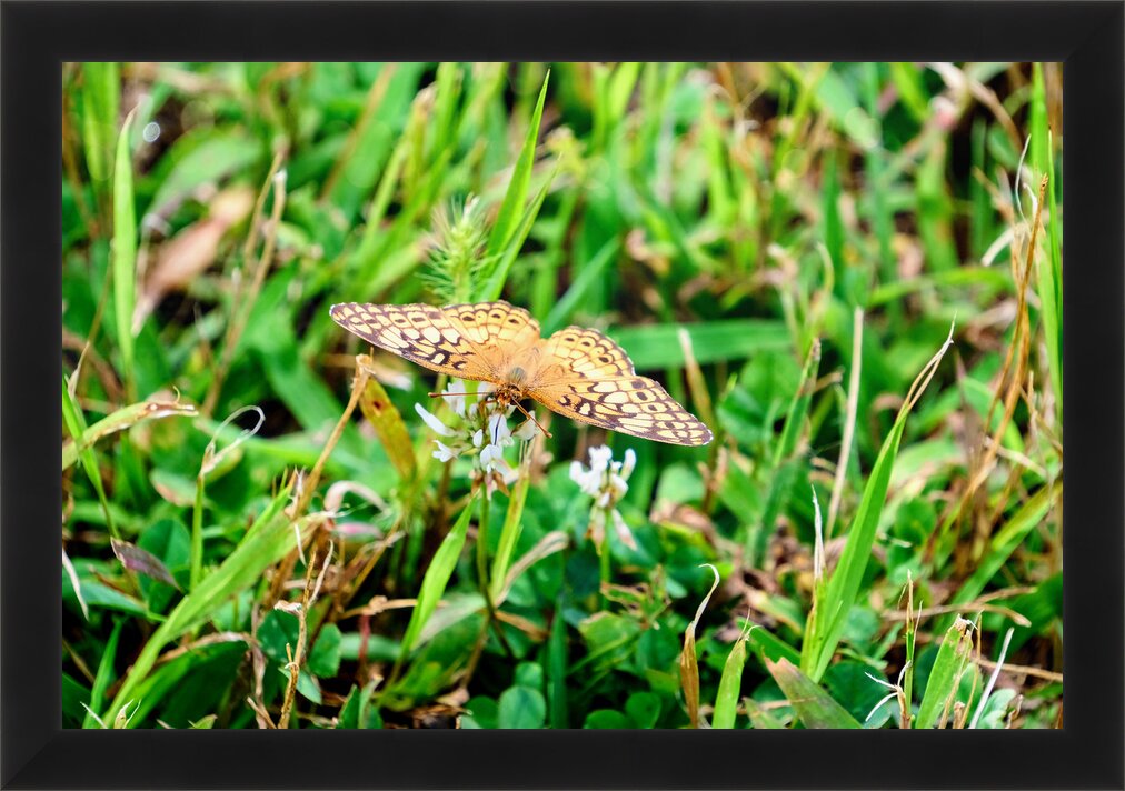 Impression de cadre personnalisé