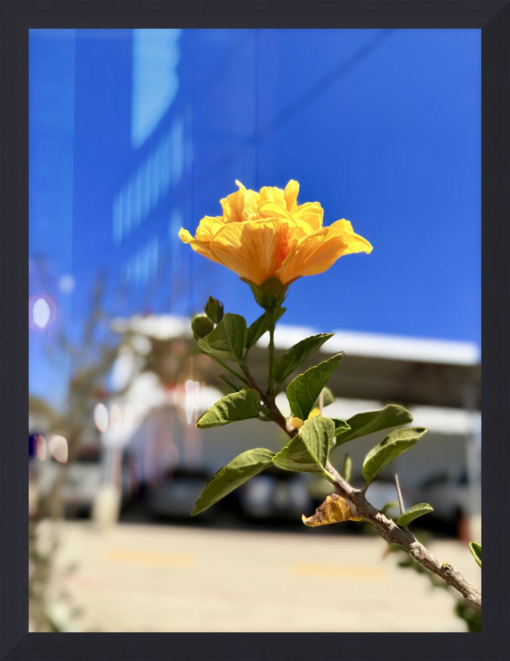 Impression de cadre personnalisé