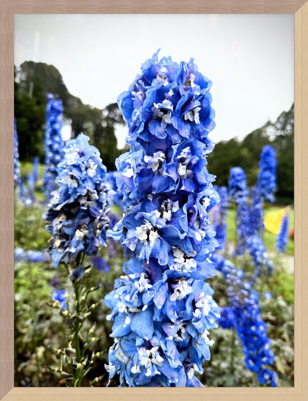 Impression de cadre personnalisé