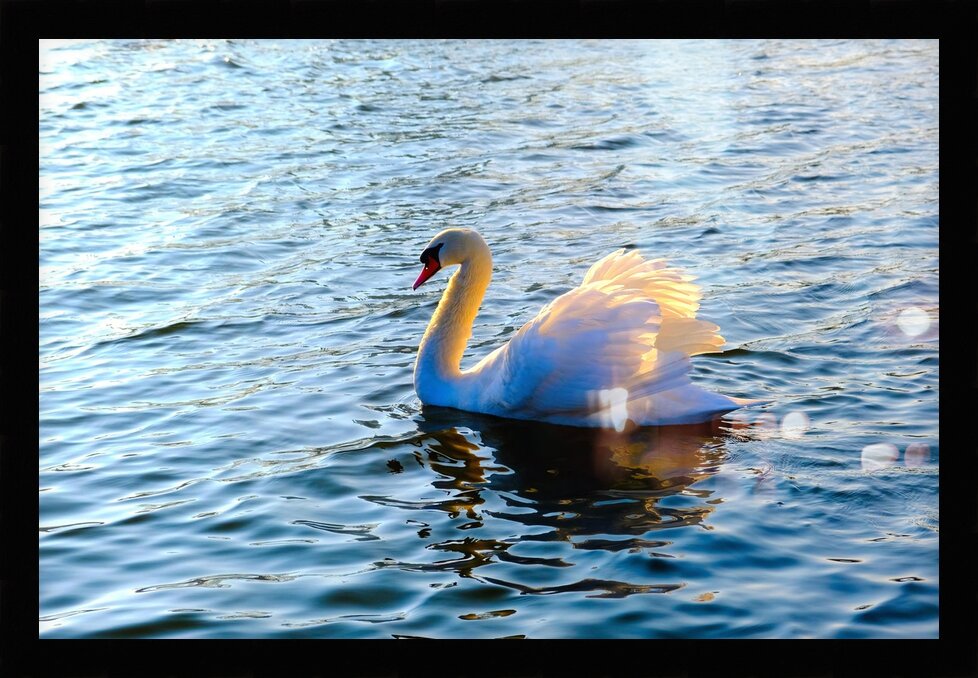 Impression de cadre personnalisé