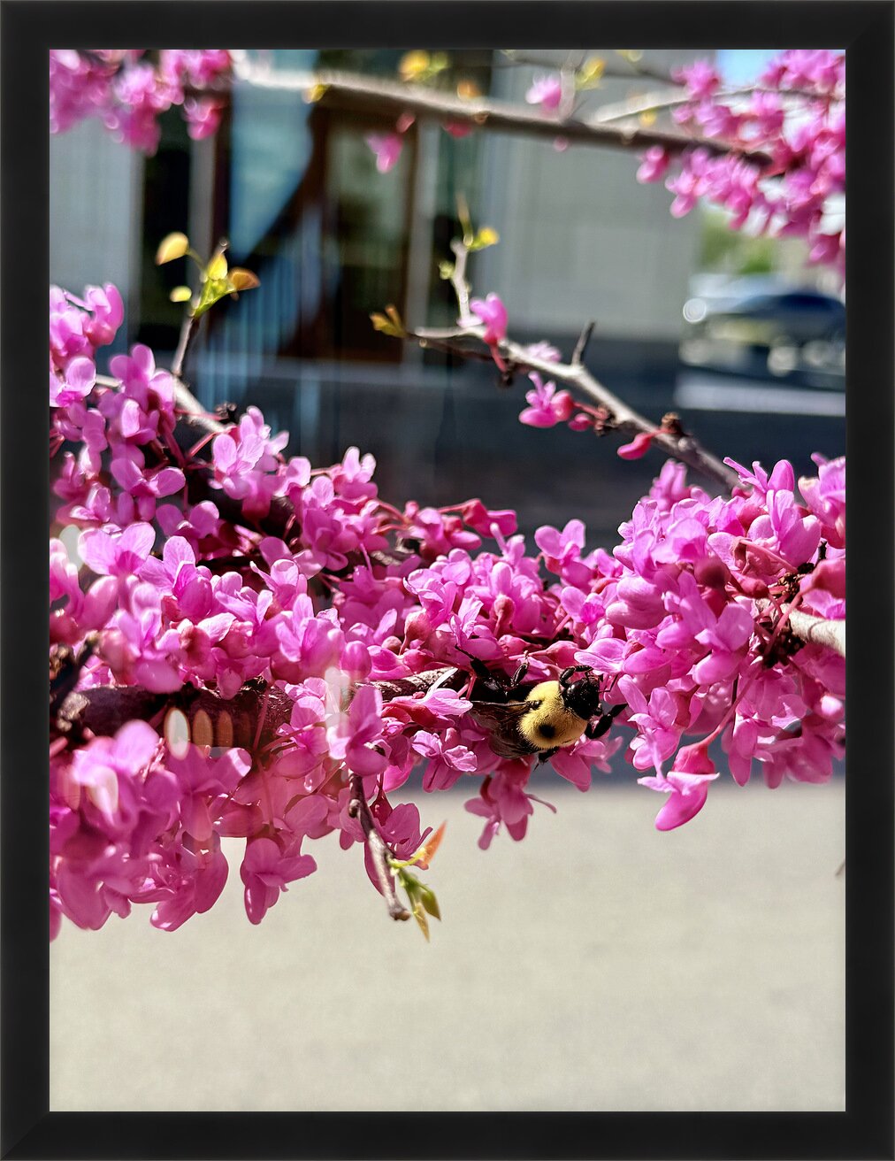 Impression de cadre personnalisé