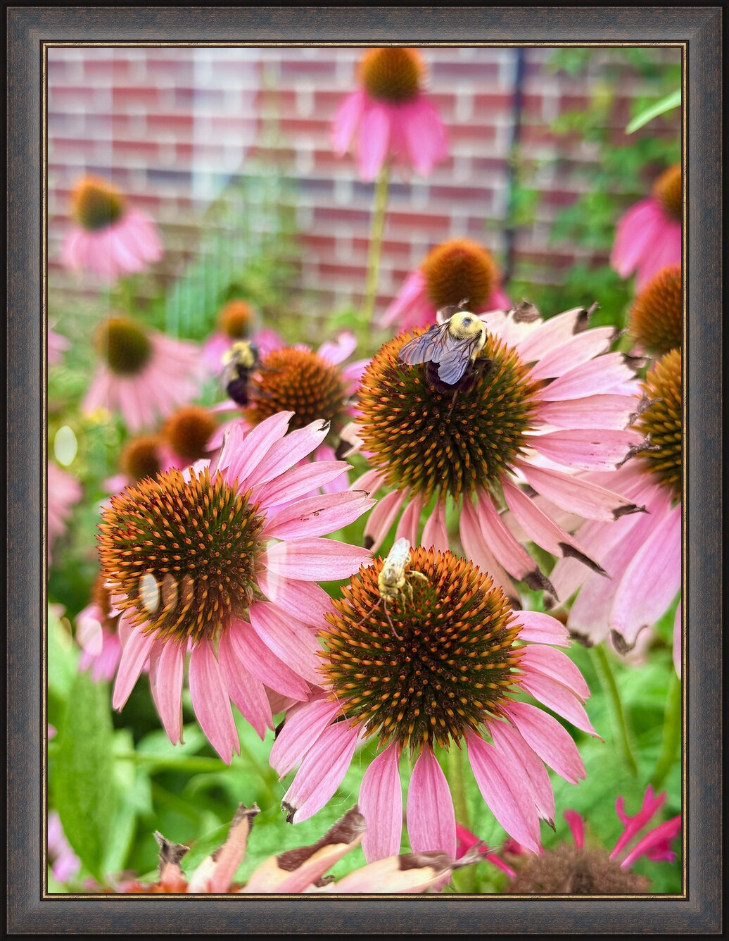 Impression de cadre personnalisé