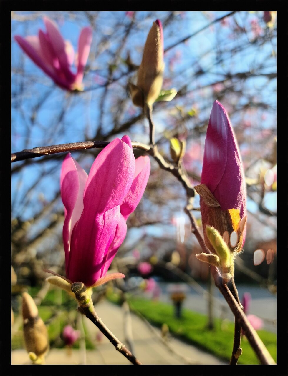 Impression de cadre personnalisé