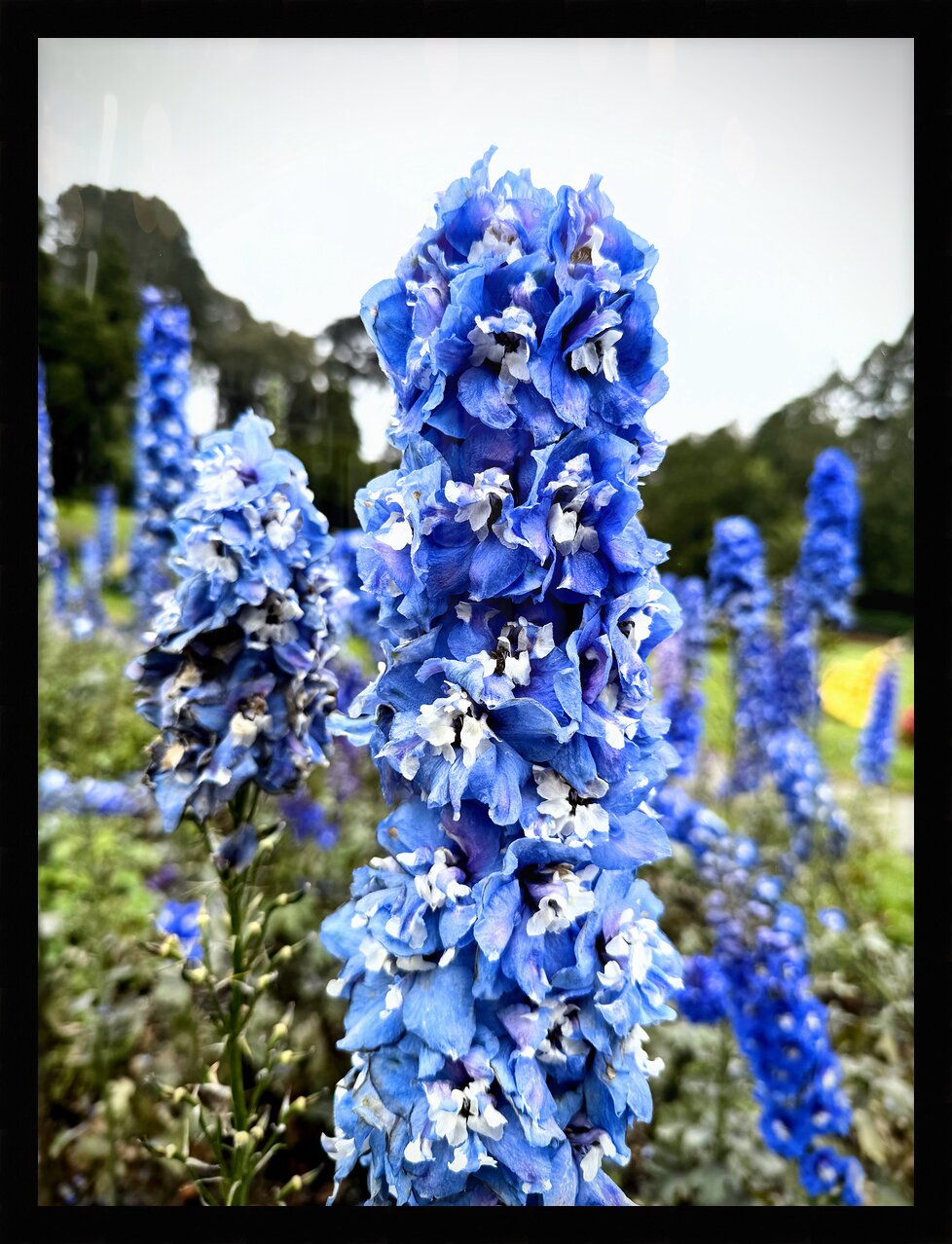 Impression de cadre personnalisé