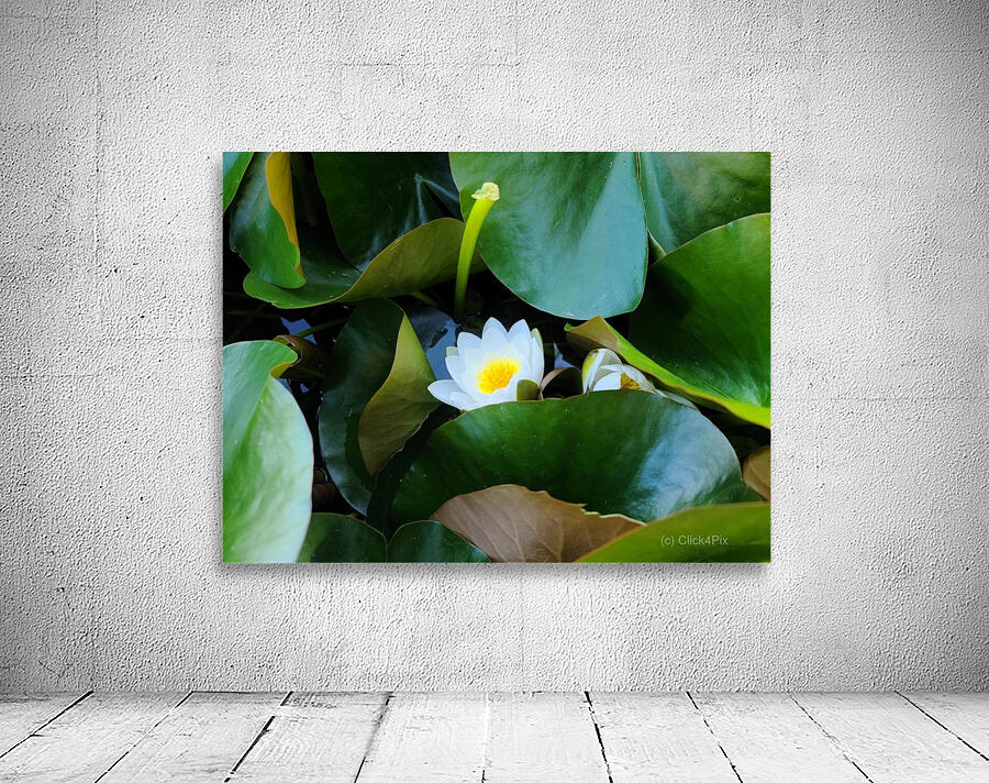 Shy Blossom in Green Embrace Wall Preview