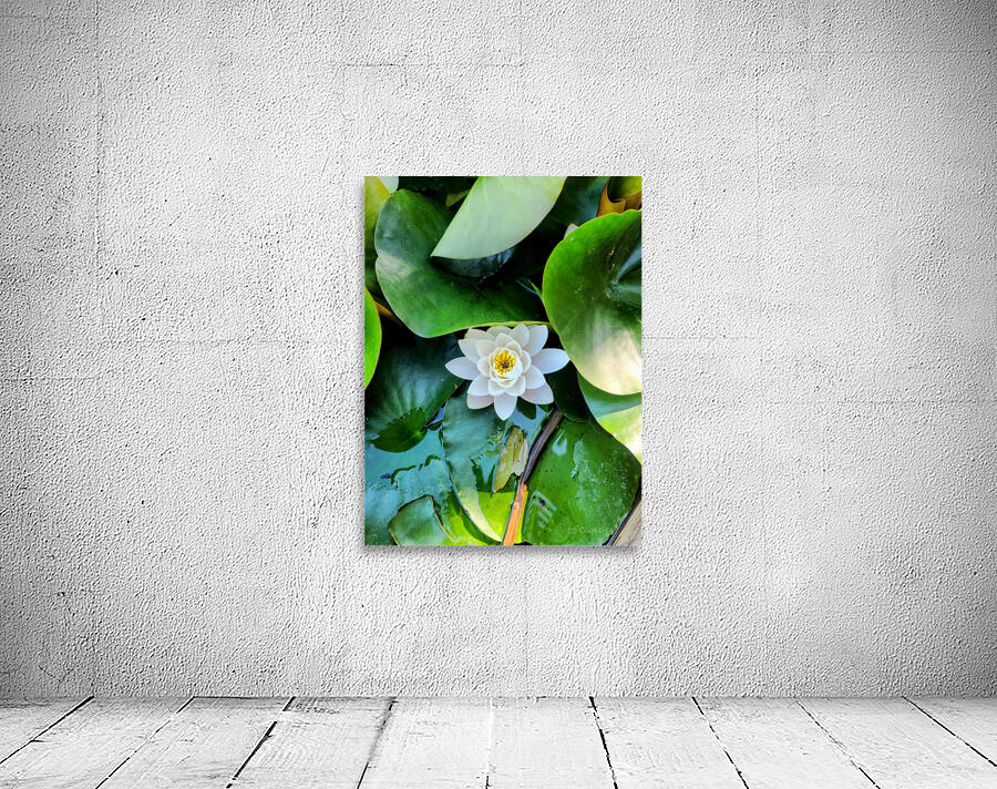 White Radiance in Green Silence Wall Preview