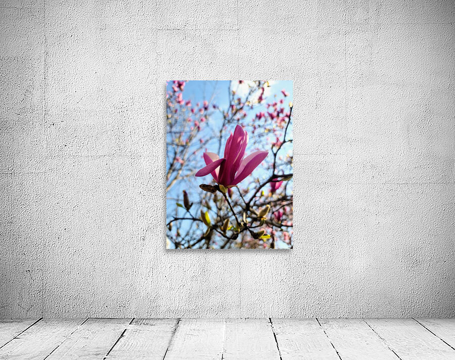 The Quiet Language of Petals Wall Preview