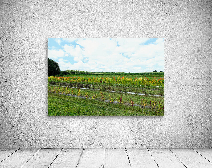 The Silent Pulse of Cultivation Wall Preview