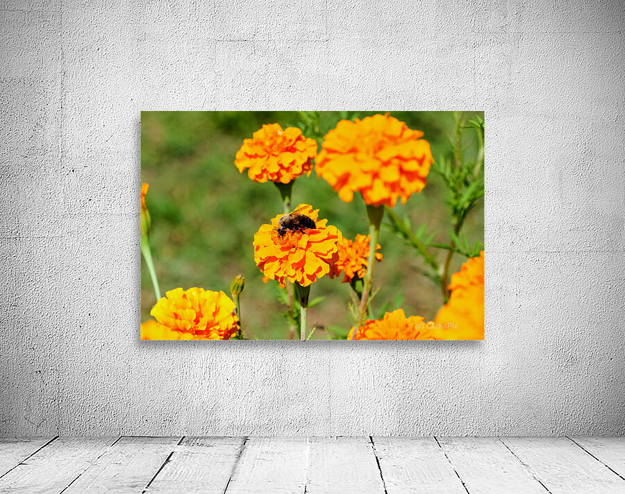 Bright Labors: Beneath the Fire of Petals Wall Preview