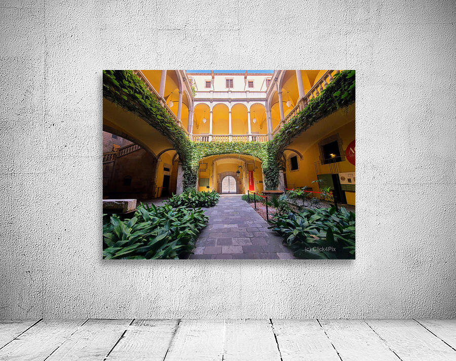  Solitude in Sunlight Wall Preview