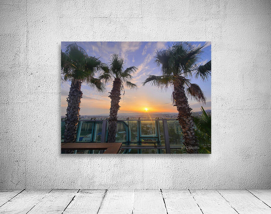 Palm Witnesses of the Falling Sun Wall Preview