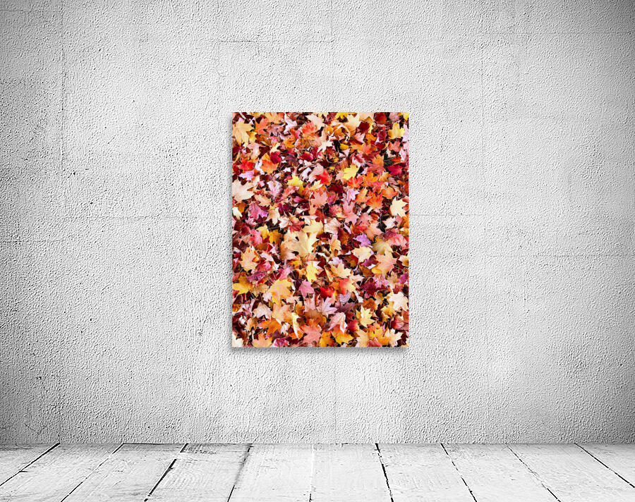 Natural Carpet: Fall’s Confetti Wall Preview
