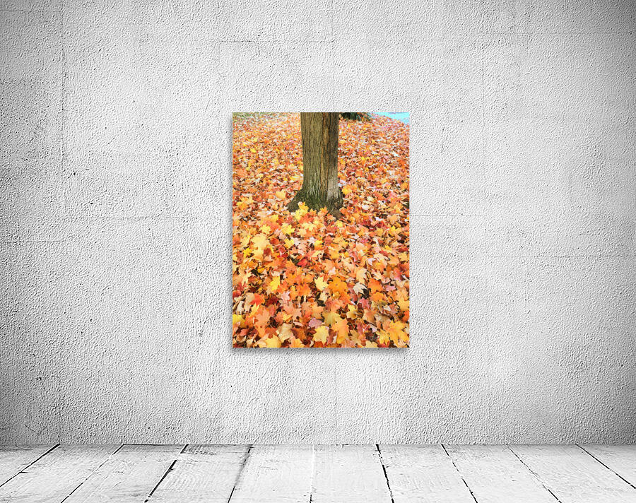 Leaves Me Stumped: Rooted in Color Wall Preview