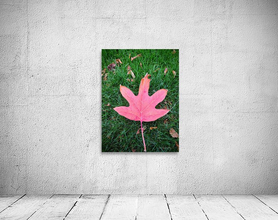 Leaf Me on the Grass Wall Preview