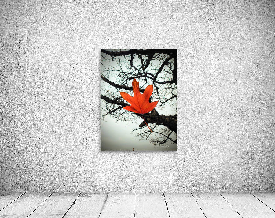 A Fallen Farewell : Defiant Ember Wall Preview