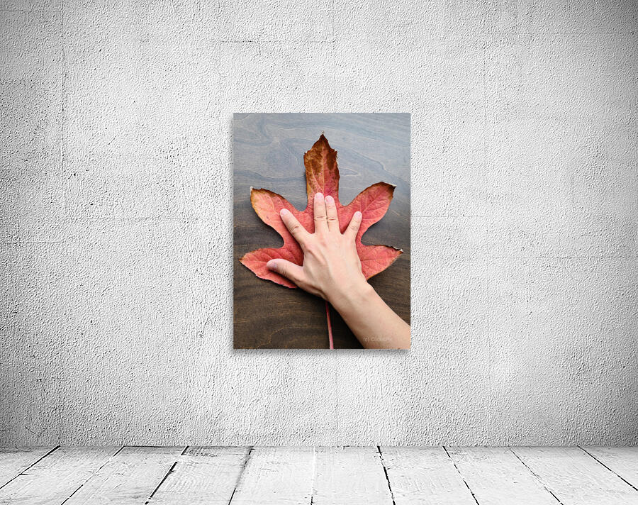 Holding Onto Fall: Nature’s High Five Wall Preview