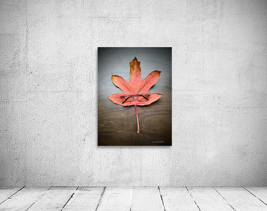 Losing Sight of Fall Wall Preview