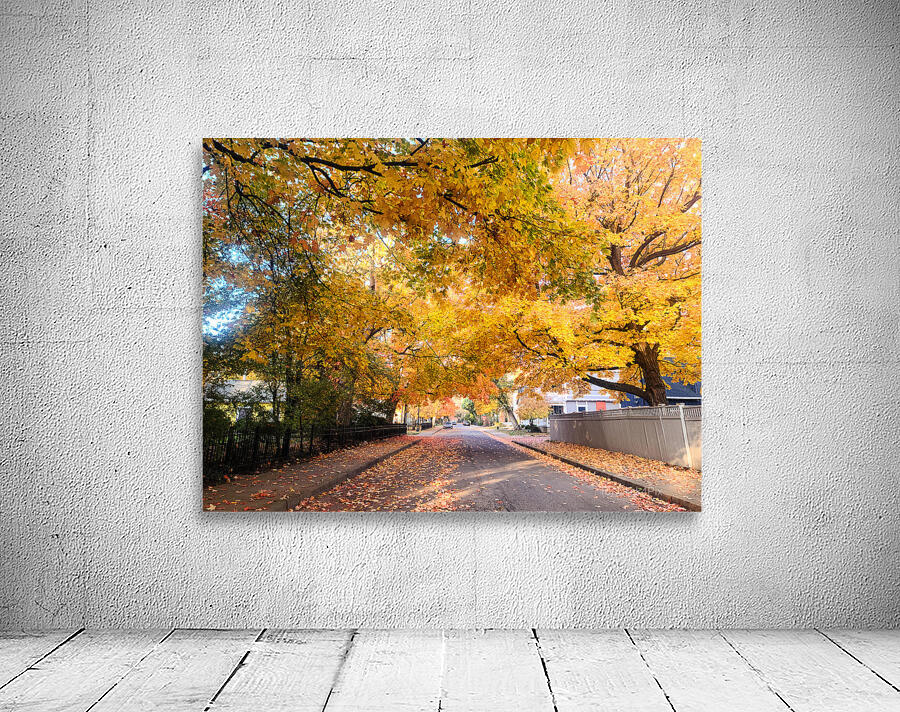 Fall Over the Road Wall Preview