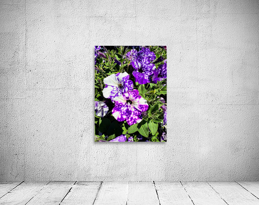 Starlight in Bloom Wall Preview