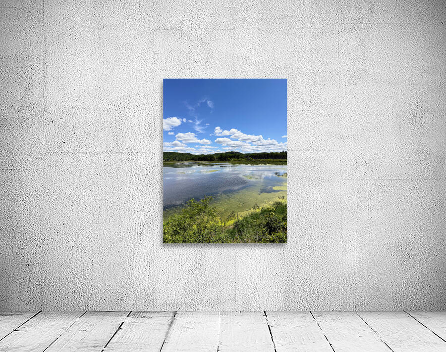 Sky Echoes Wall Preview