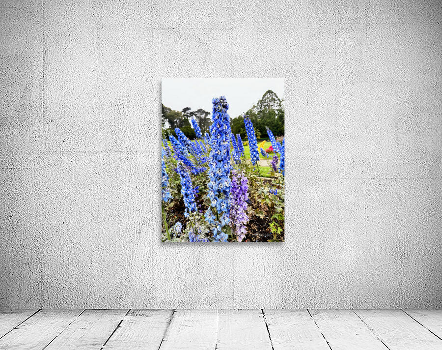 Whispers in Ultramarine Wall Preview