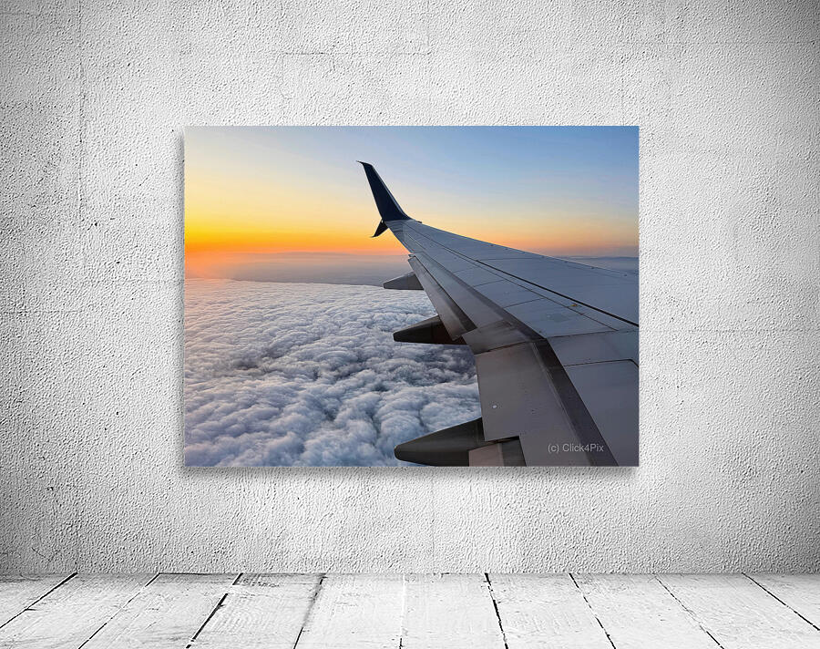 Pillowalk over San Francisco-Spring 2025 Wall Preview