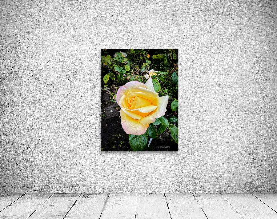 Alchemy in Bloom Wall Preview