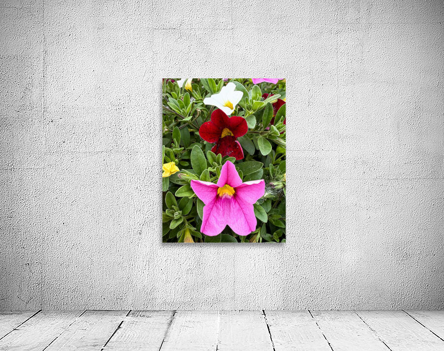 Bold Petals Quiet Strength Wall Preview