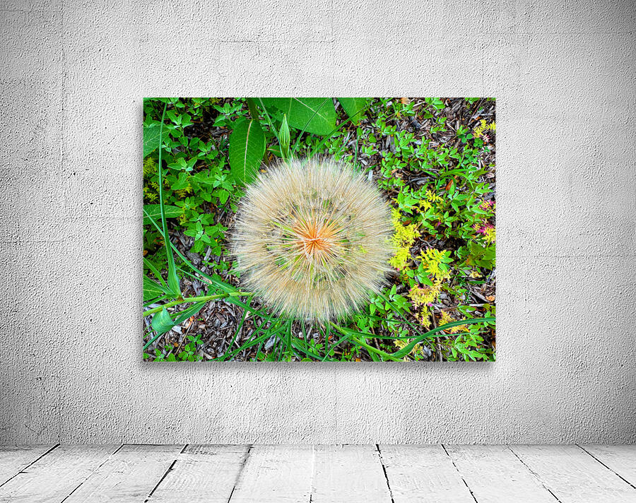 The Poetic Geometry of a Meadow’s Breath Wall Preview