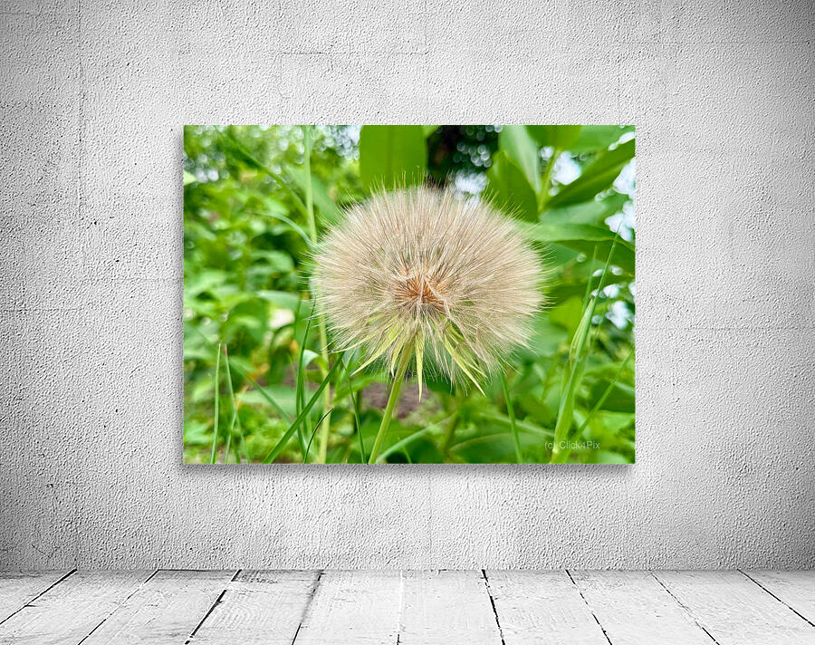 The Last Wishkeeper: Holding Dreams Before the Wind Wall Preview