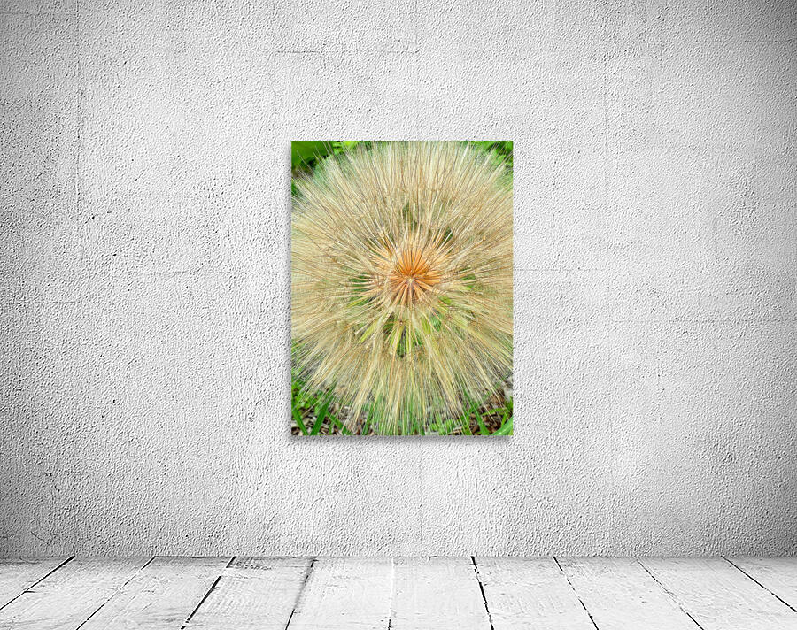 Nature’s Compass: All Directions One Origin Wall Preview