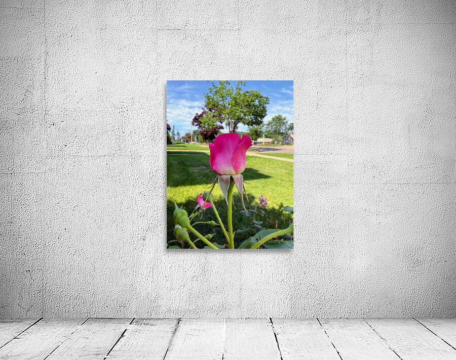 Petalbound: The Secret Just Before Beauty Speaks Wall Preview