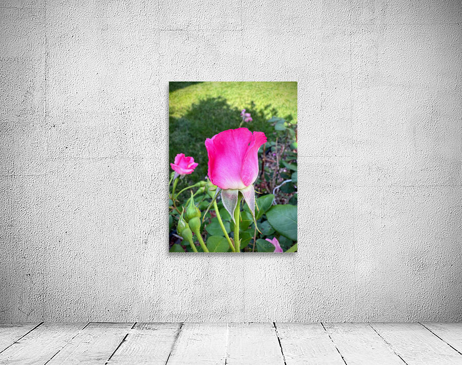 Velvet Guard of the Gardens Heart Wall Preview