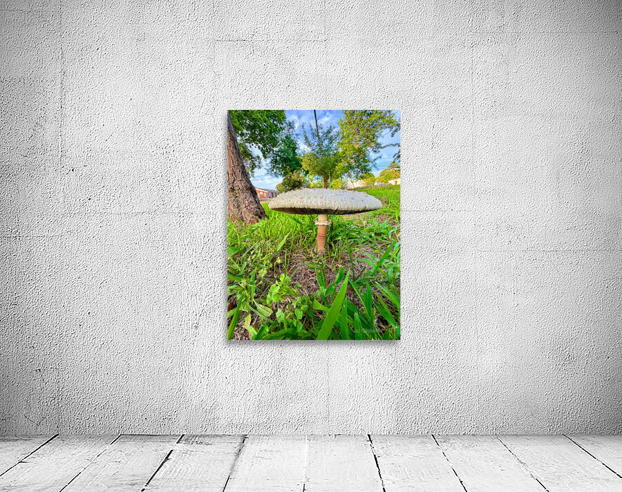 The Lowland Throne Wall Preview