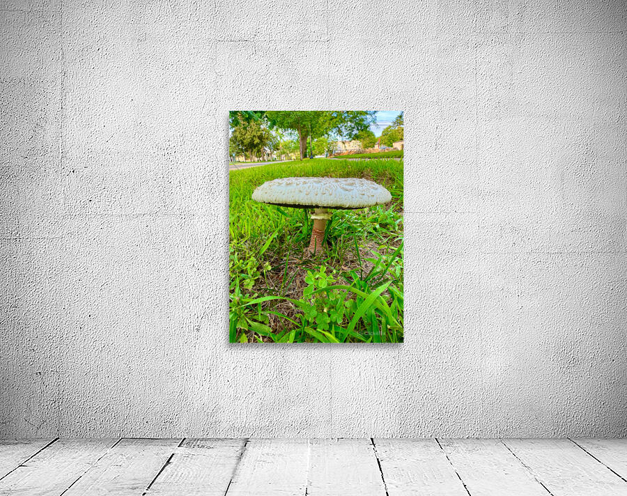 Crowned by the Earth Wall Preview