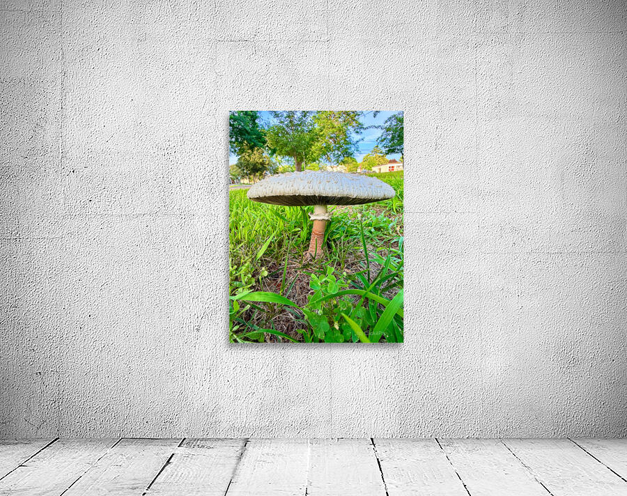 Pillar of the Undergrowth Wall Preview