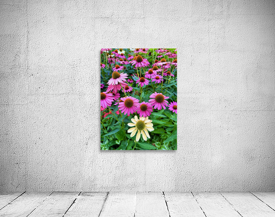 The Garden Collective Wall Preview