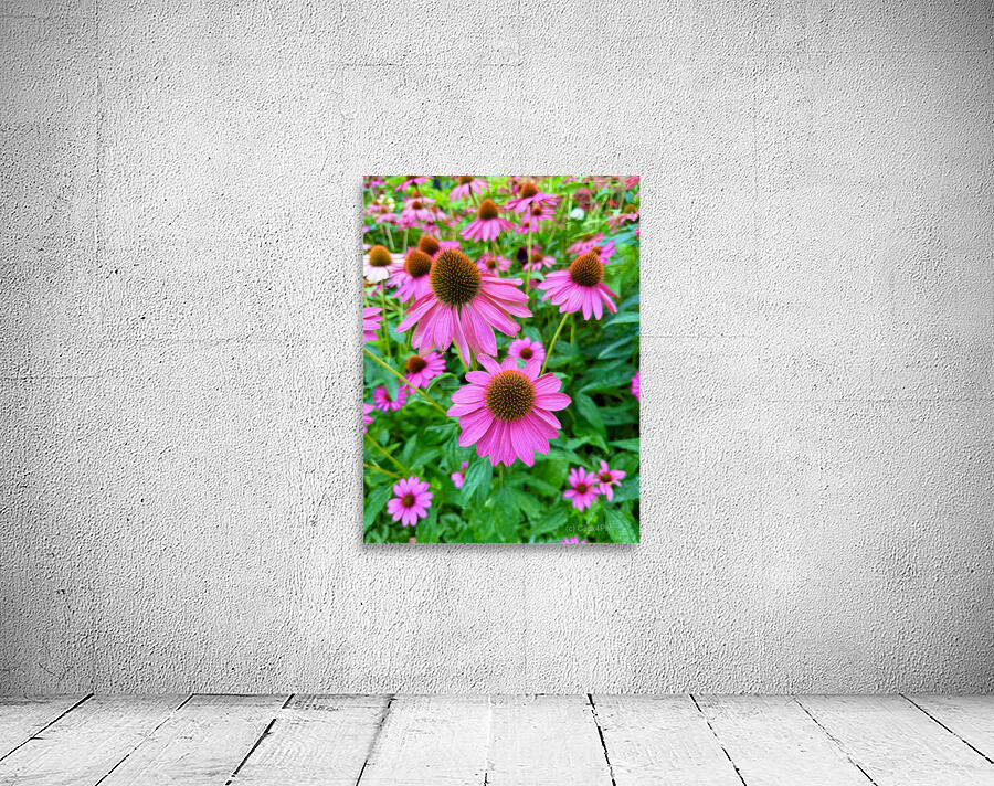 Petal Parade Wall Preview