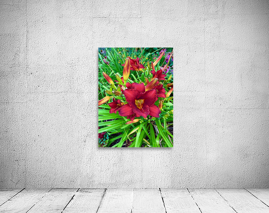 Scarlet Awakening Wall Preview