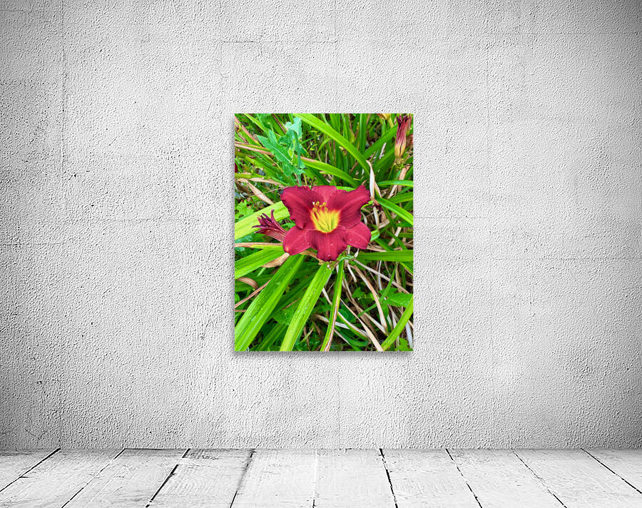 Crimson Flare Wall Preview