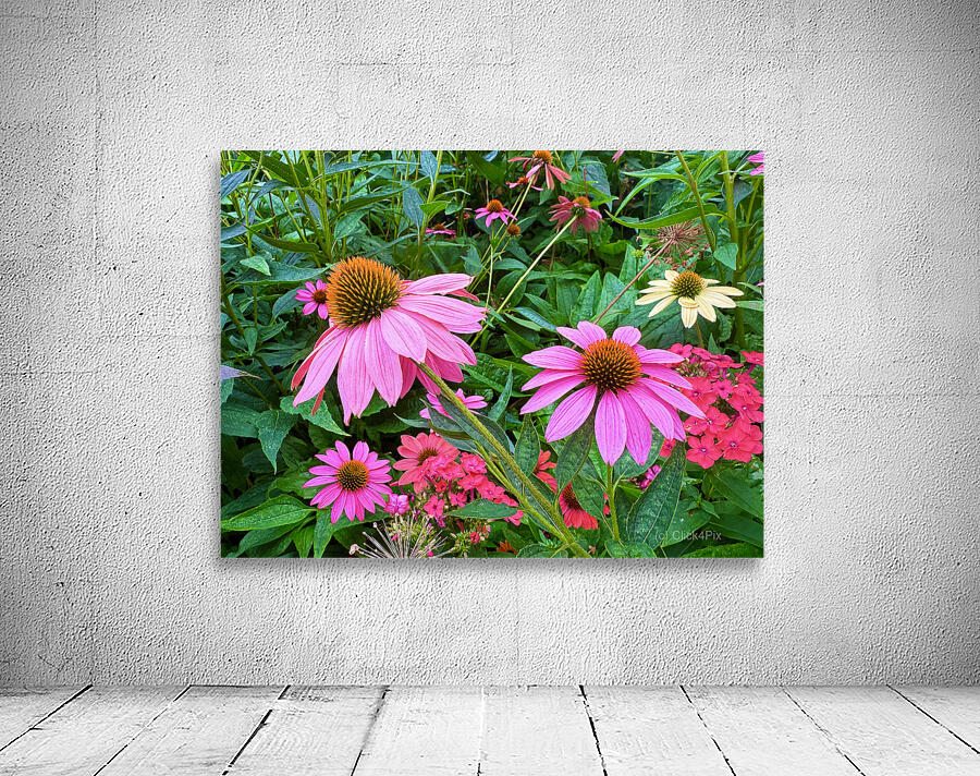 Coneflower Chorus Wall Preview
