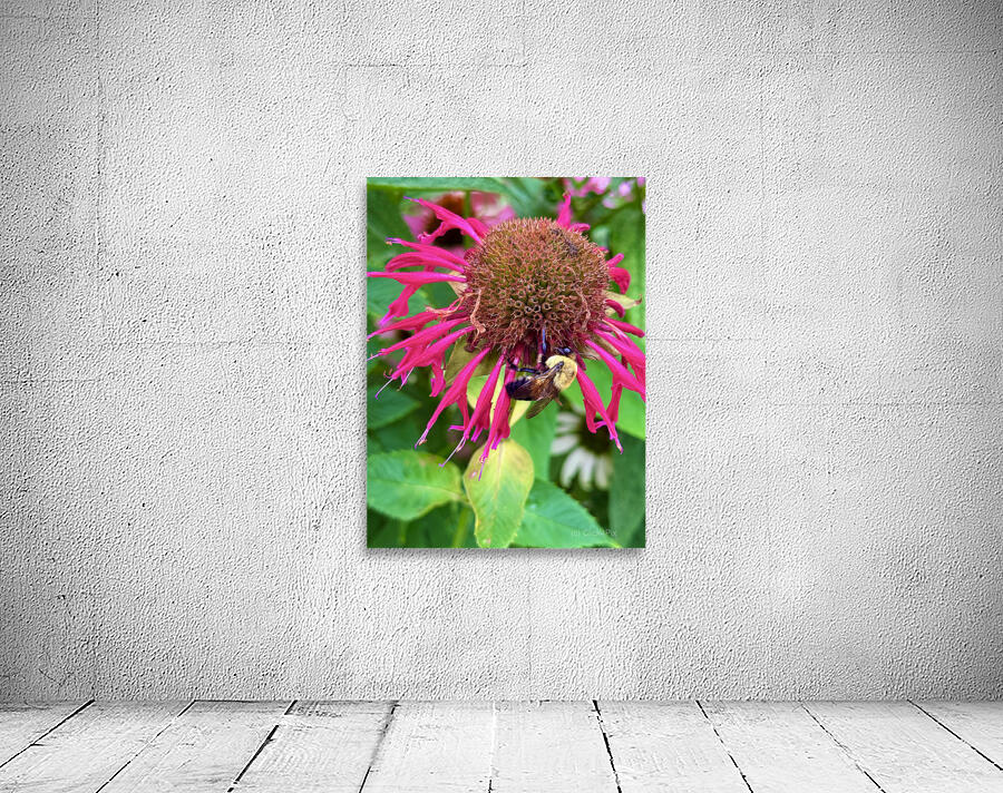 Vital Encounter Wall Preview