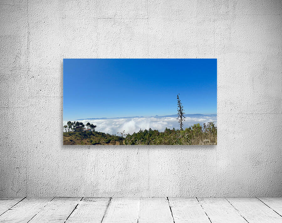 IMG 9119 Wall Preview